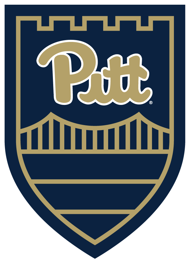 Pittsburgh Panthers 2018-2019 Secondary Logo diy iron on heat transfer